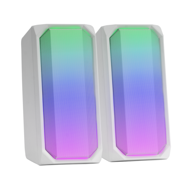 HAUT-PARLEURS GAMING MSRGB